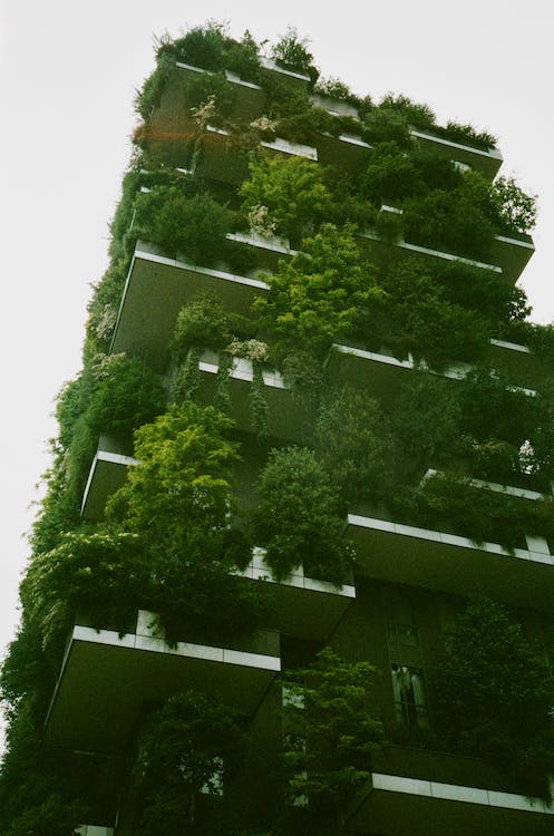 Building with plants